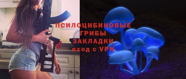 не бодяженный Осташков
