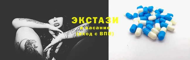 прущие грибы Переславль-Залесский