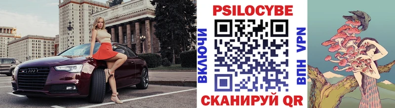 Галлюциногенные грибы Cubensis  Купить закладки  Лесной 