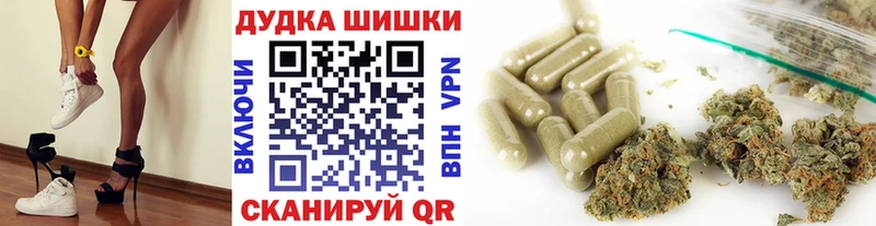 Купить Лесной Бошки Шишки THC 21%